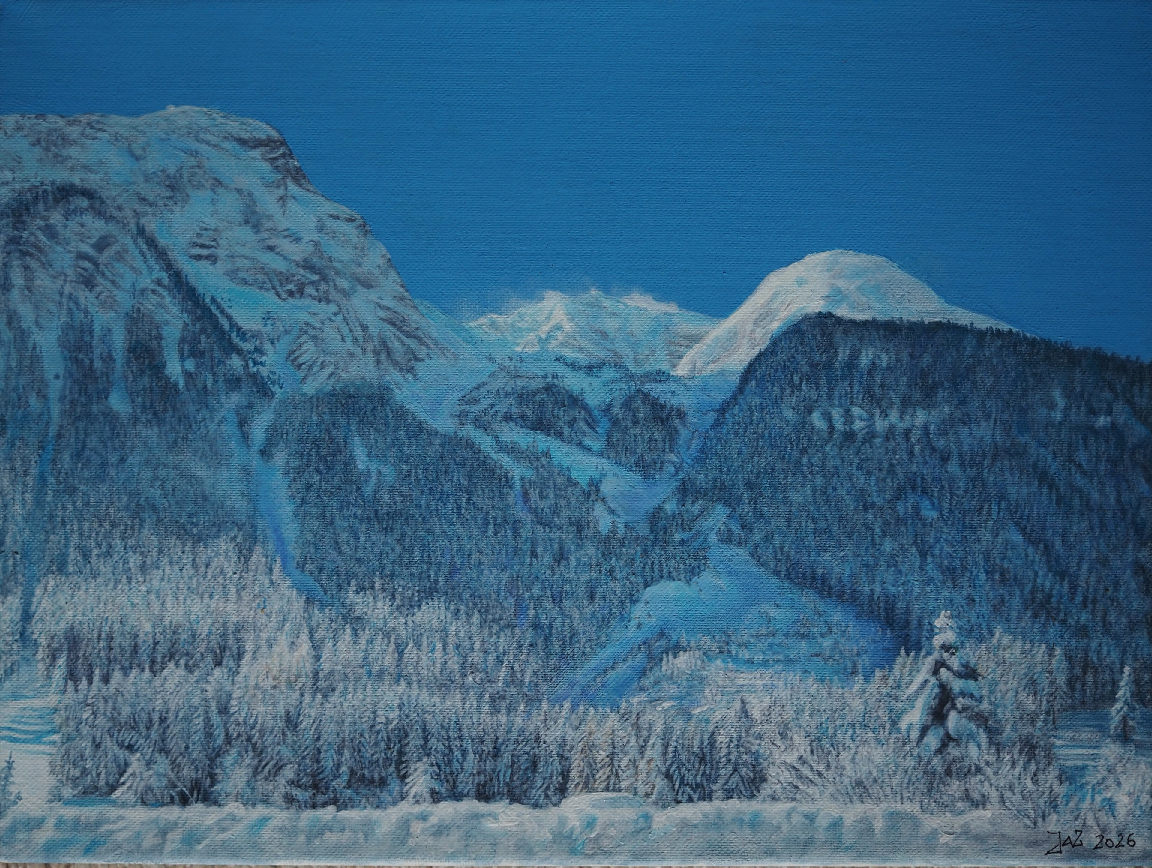 Ein winterliches Bergpanorama, blauer Himmel, schneebedeckte Gipfel, Wälder.
